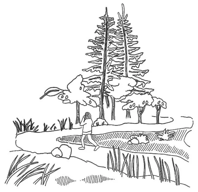 Illustration: Mirjam Isabella